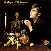 Robyn Hitchcock - Live in Concert
